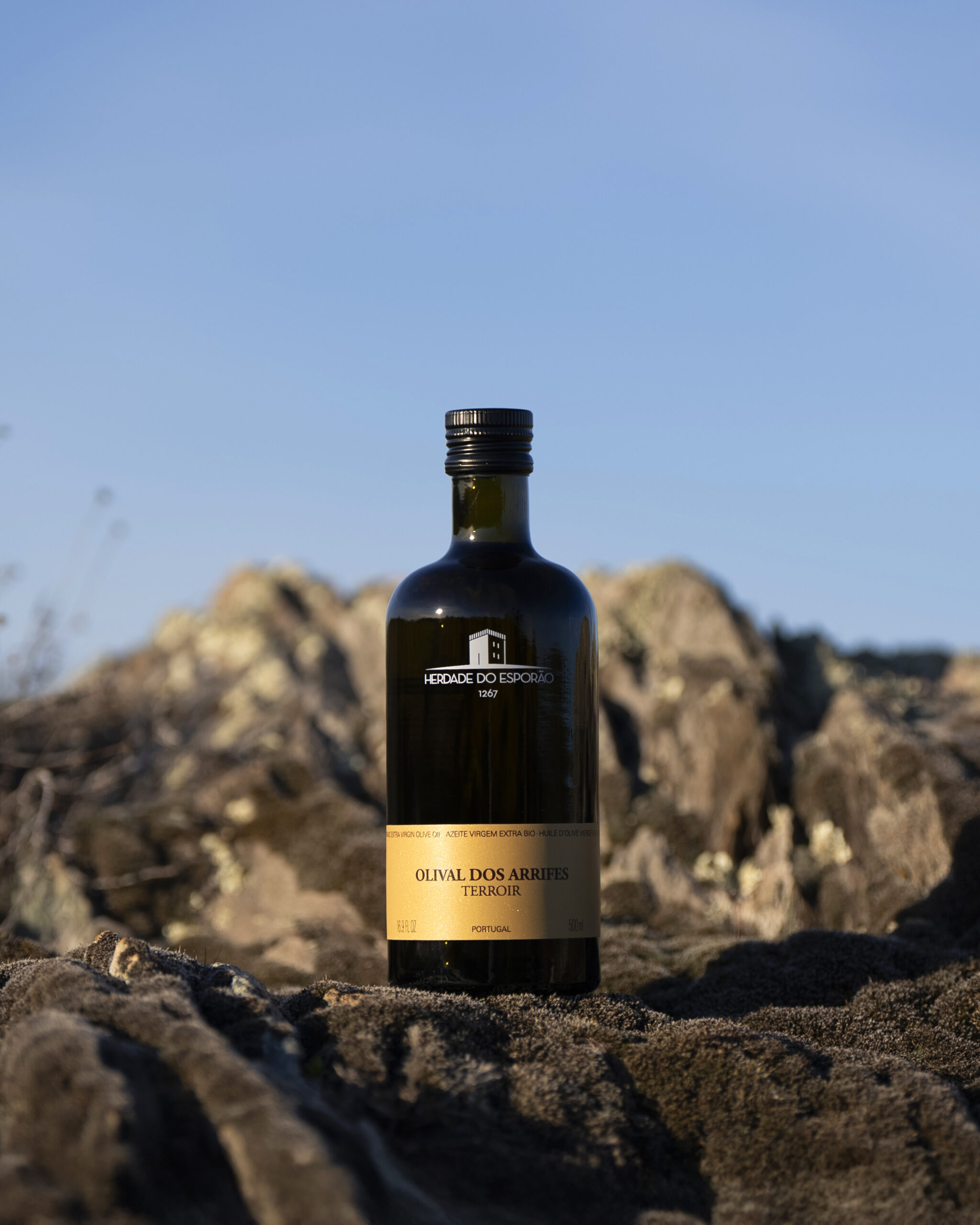 ©Esporao Arrifes 2025 01 scaled