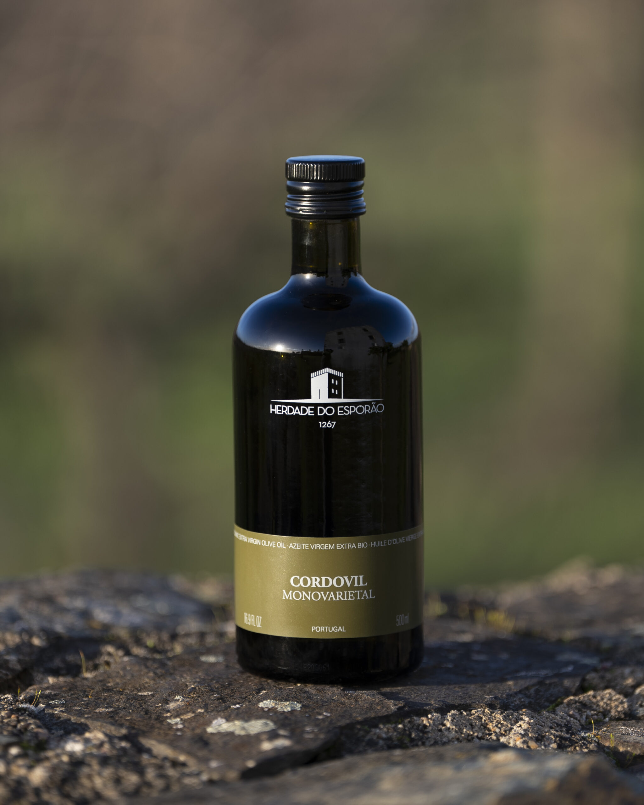 ©Esporao Cordovil 2025 02 scaled