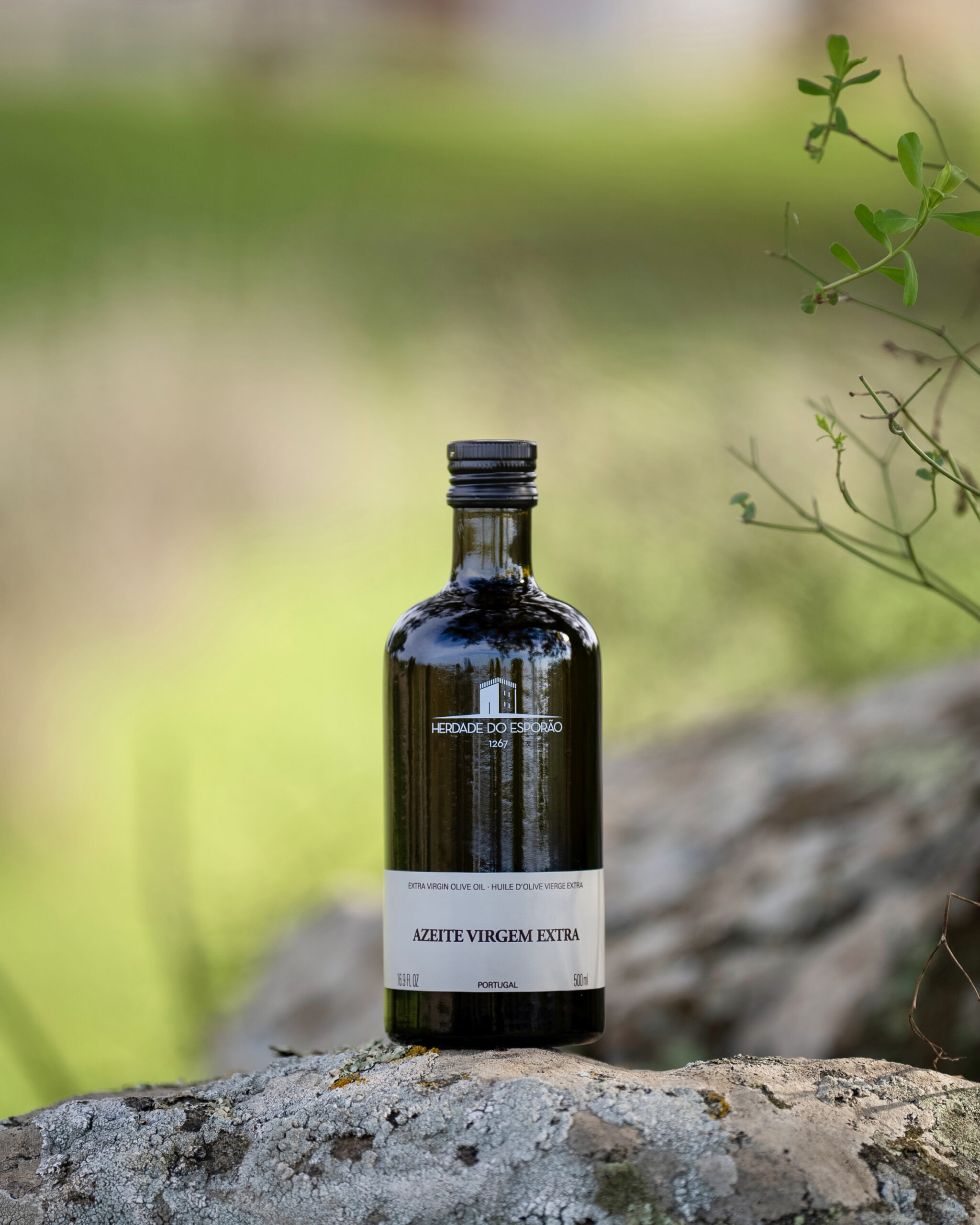 ©Esporao Virgem Extra EVOO 2025 05 scaled